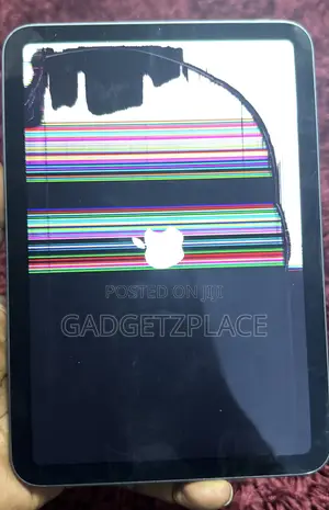Apple iPad mini (2021) 64 GB Gray