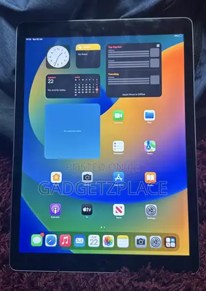 Apple iPad Pro 12.9  (2015) 32 GB Gray