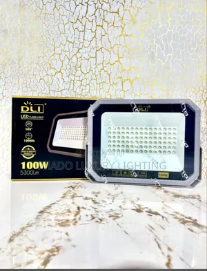 100w D Li Floodlight