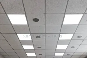 Suspended Ceiling Installation Service