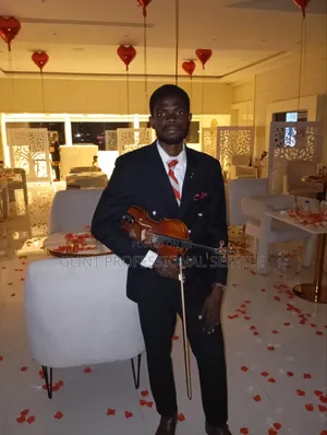 Violinist and Violin Performance