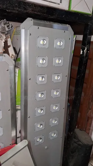 100w Solar Street Light for Estate's/ Companies/ Hotels