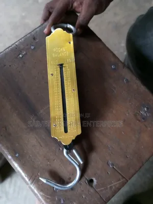 Hanging Scale
