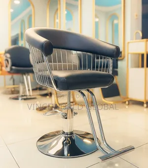 Salon Chair Mf-14 Silver