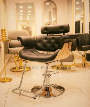 Salon Chair Wd887
