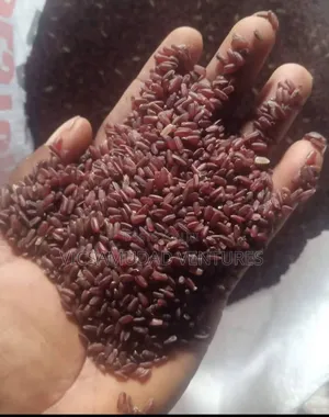 Brown Rice
