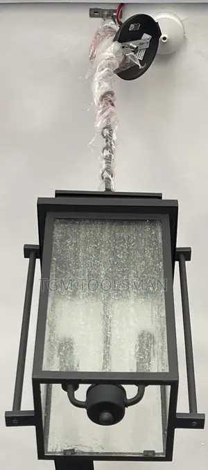 10'' Wide 2-light Indoor/Outdoor Pendant