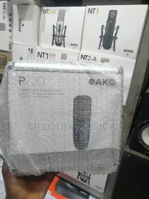 Akg P220 Condenser Microphone (Large Diaphragm)