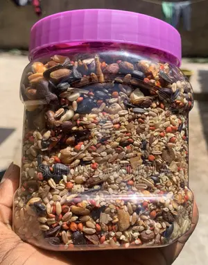 Essential Seed-Mixed Parrot Feed