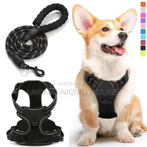 Adjustable Dog Harness With Leash – For Medium Large Dogs