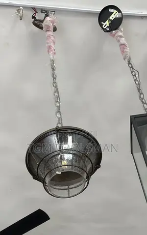 Indoor/Outdoor Pendant Light
