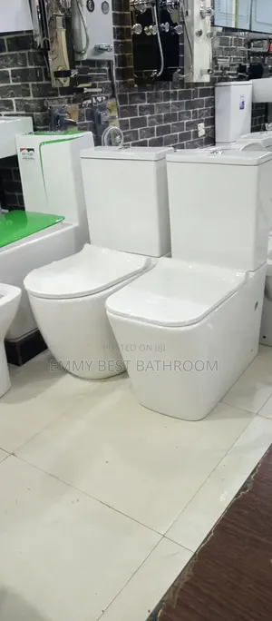 Real Original Wc Set With the Wash Hand Basin