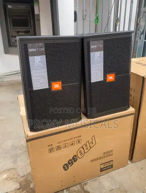 12 Inches JBL Hanging Speaker Big Magnet