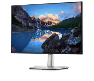 Dell Ultrasharp U2421e Ips LCD Class 24 Inches Monitor