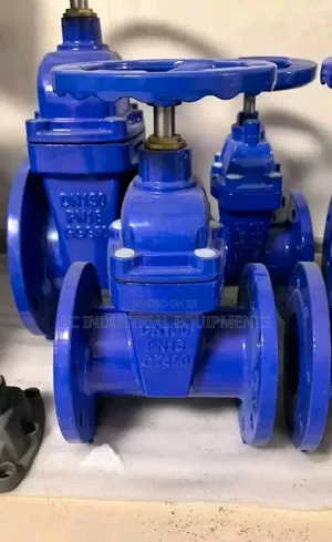 Dn100 Cast Iron Gate Valve