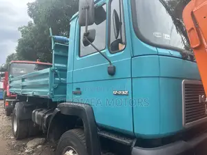 Man Dumping Truck