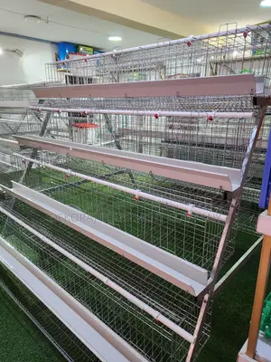 160 Birds Capacity Galvanize Hot Dip Imported Cage (25years) Lifespan