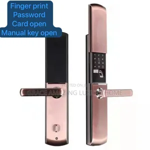 Smart and Intelligent Lock