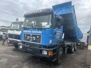 Man Dumping Truck