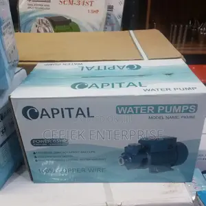 Original Cooper 0.5 Coil Pressure Pump