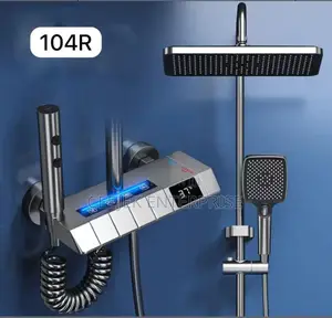 Gray Luxry Shower