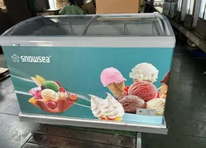 Original Snowsea Freezer Ice Cream Coler Oz Full Door