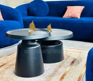 2 in 1 Metal Tables