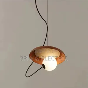 Nordic Indoor Single Dropping Light