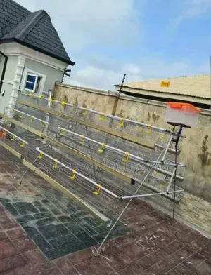Poultry Equipment