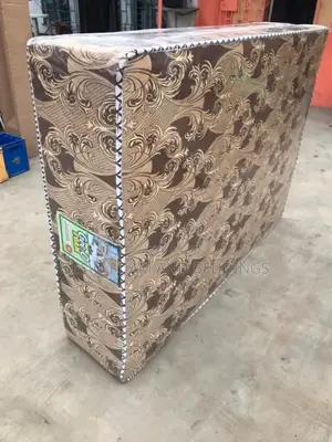 6x4.5 16 Inches (Orthopedic Standard Mattress)