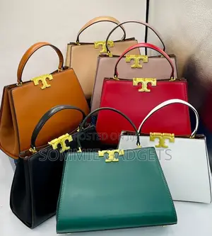 Luxury Handbag