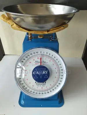 20kg Scale