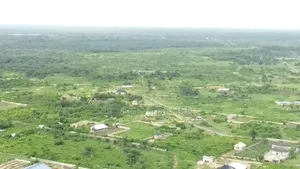 Craziest 50 Acres Distress Sales