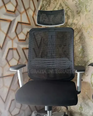 Office Chair With Adjustable Hand And Plastic Back