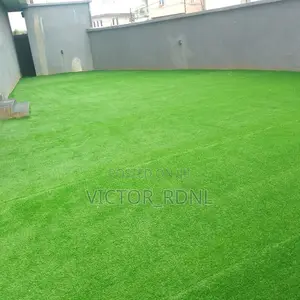 Carpet Grass Are Sold Here