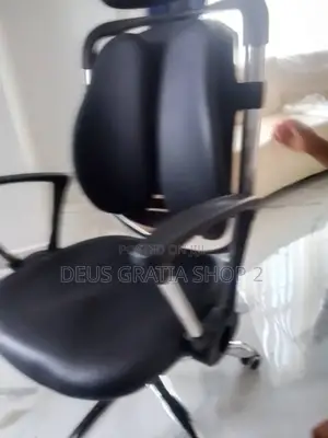 Ergonomic Office Chair for Pains