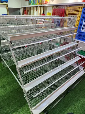 160 Birds Imported Cage That Can Hold Up To 80,000 Chickens
