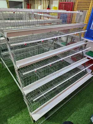 160 Birds Imported Cage That Can Hold 60,000 Chickens
