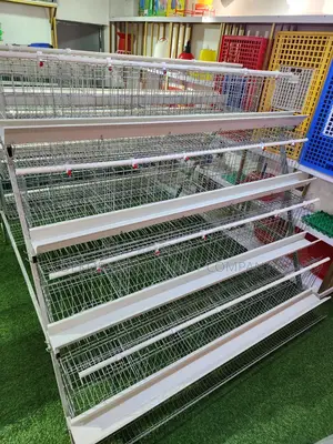 160 Birds Imported Cage Than Can Hold 50,000 Chickens