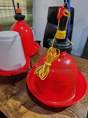 India Bell Drinker To Raise Healthy Chickens