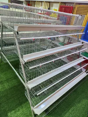 160 Birds Imported Cage That Can Hold Up To 30,000 Birds