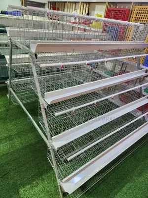 160 Birds Capacity Hot Dip Super Galvanized Cage For Layers