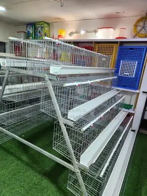 160 Imported Hot Dip Birds Cage Can Hold Up to 30,000 Birds