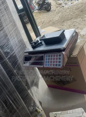Original Tabletop Digital Camry Scale
