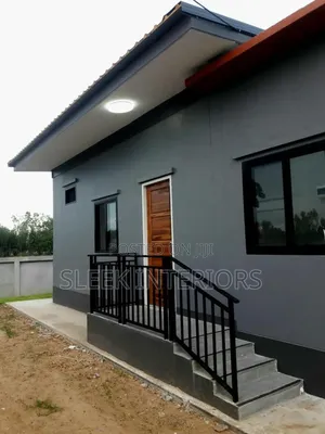 Professional Painters
