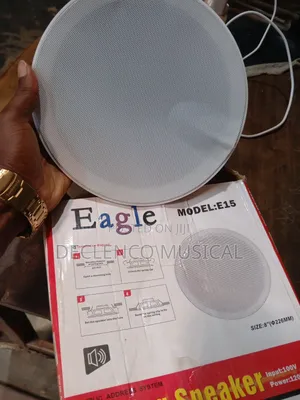 15watt Eagle Ceiling Speakers