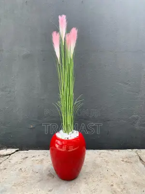 Elegant Reed Grass Plant In Red Apple-shaped Vase