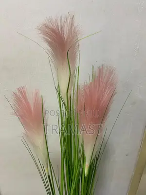 Elegant Reed Grass Plant In Red Apple-shaped Vase