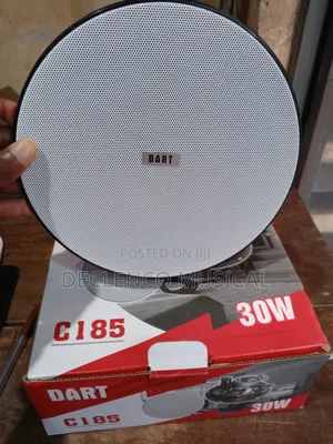 30watt Dart Ceiling Speakers
