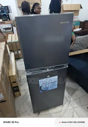 Energy-efficient Skyrun Fridge & Freezer - Dual Doors 195 L